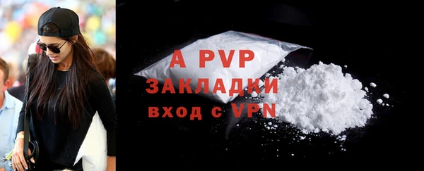 спиды Богородск