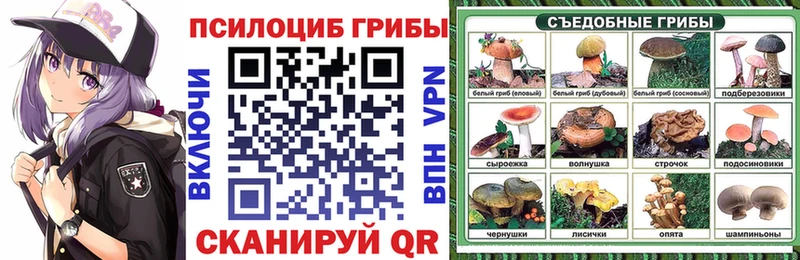 Галлюциногенные грибы мухоморы нарко площадка Telegram Мыски где можно купить наркотик